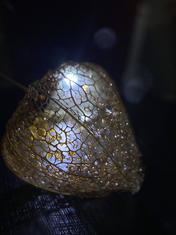 Photograph by Светлана Дмитриева