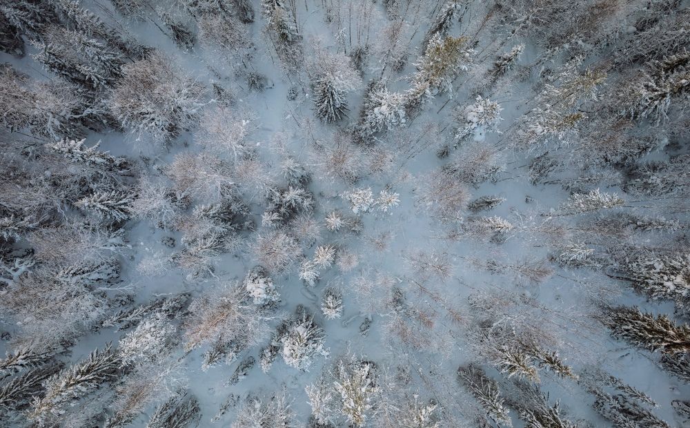 Photograph by Vladislav Trushkov