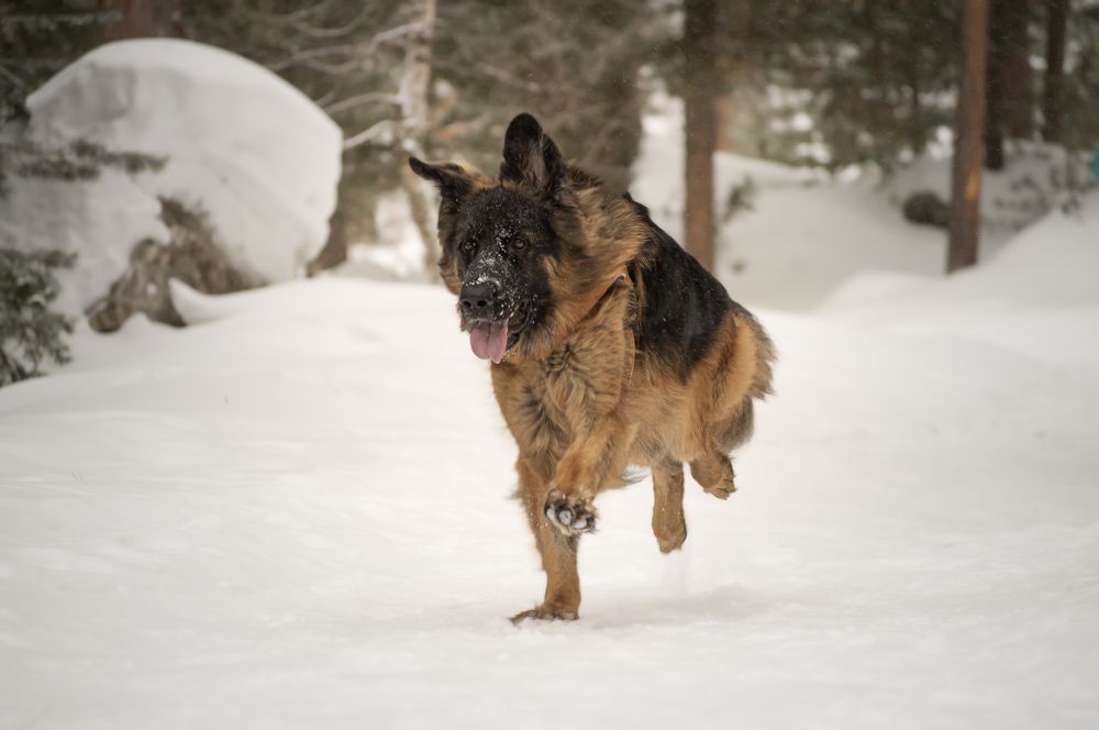 Фотография автора Ritus20018