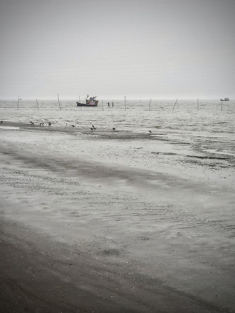 Photograph by Svetlana Gubanova