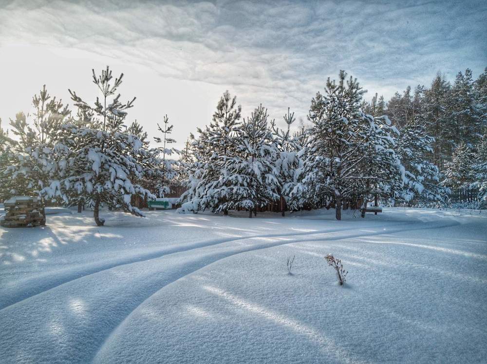 Photograph by Юлия Усенко