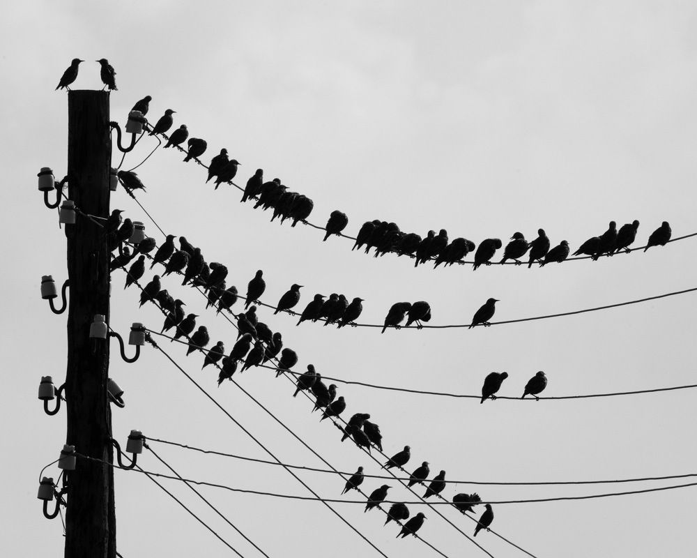 Photograph by Дмитрий Дрозд