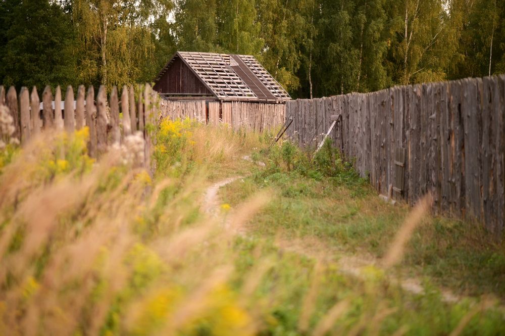 Photograph by Надежда Гусева