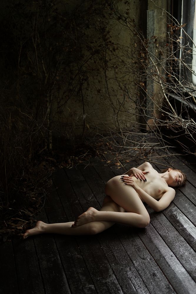 Фотография автора Юлия Сиваева