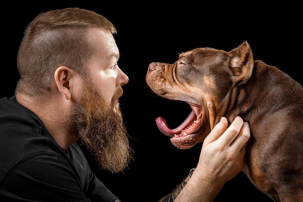 Фотография автора Оксана Серова