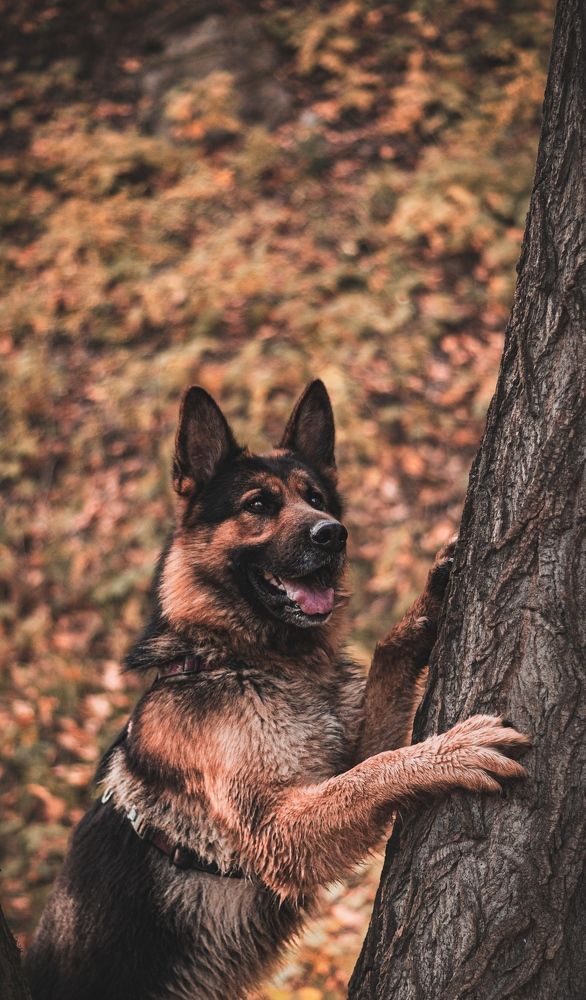 Photograph by Алина