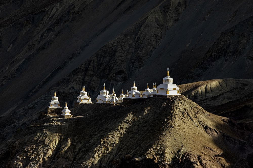 Фотография автора Md Zakir Hossain