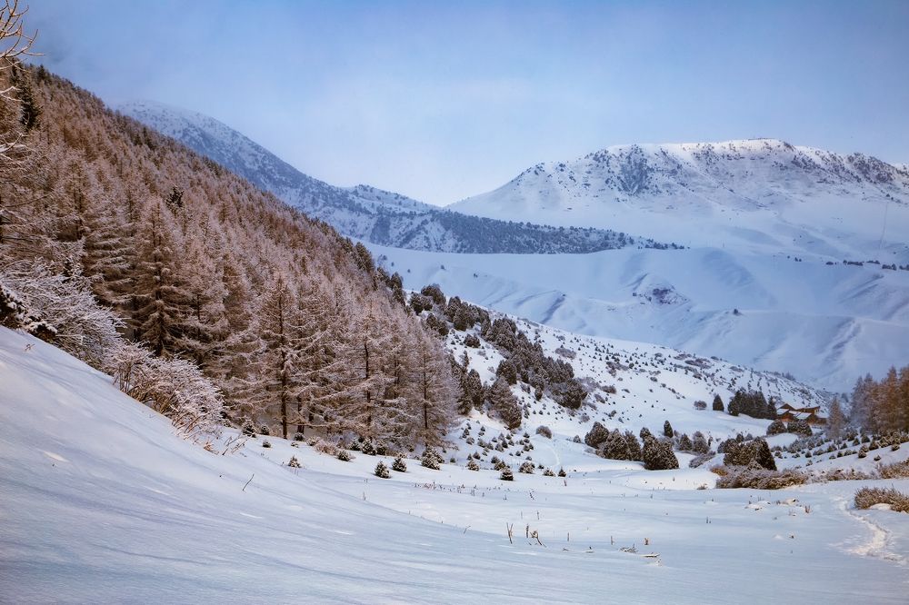 Все выше и выше