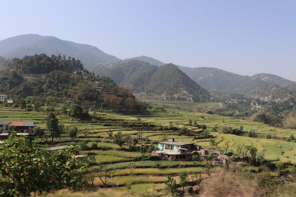 Фотография автора Sonali Mahakal