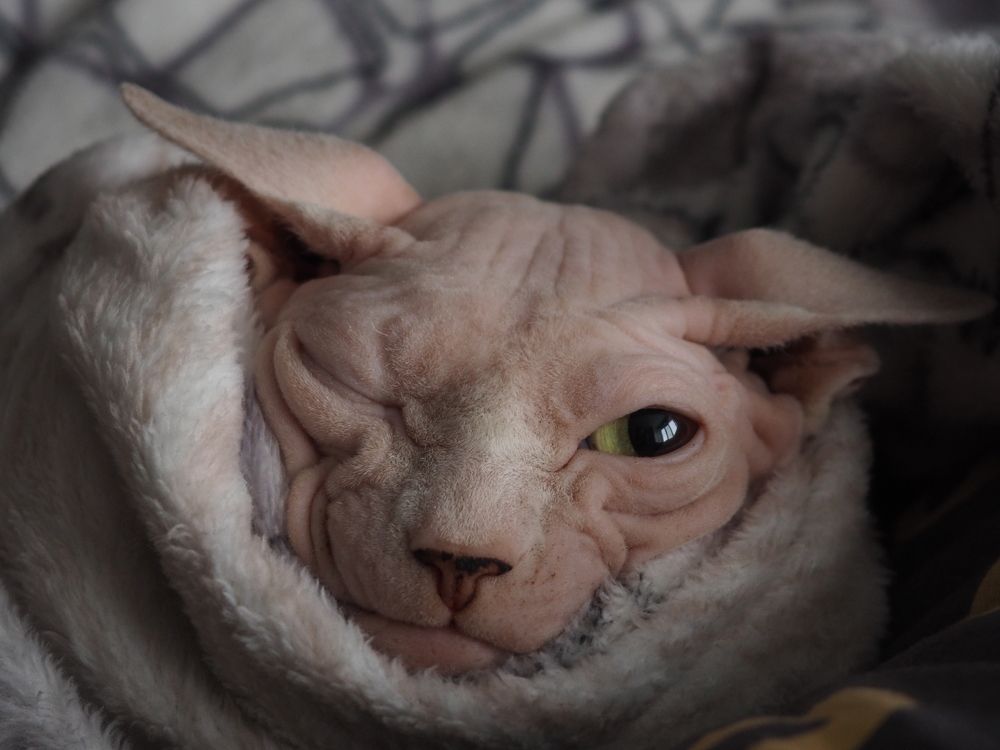 Photograph by Светлана Петренко