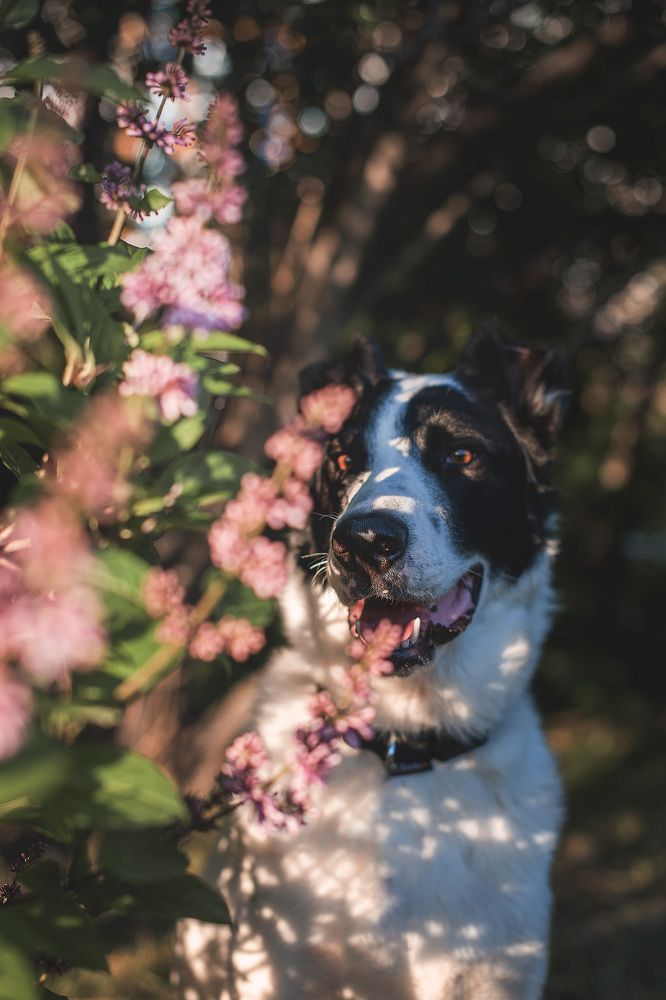Photograph by Маргарита Богуславская