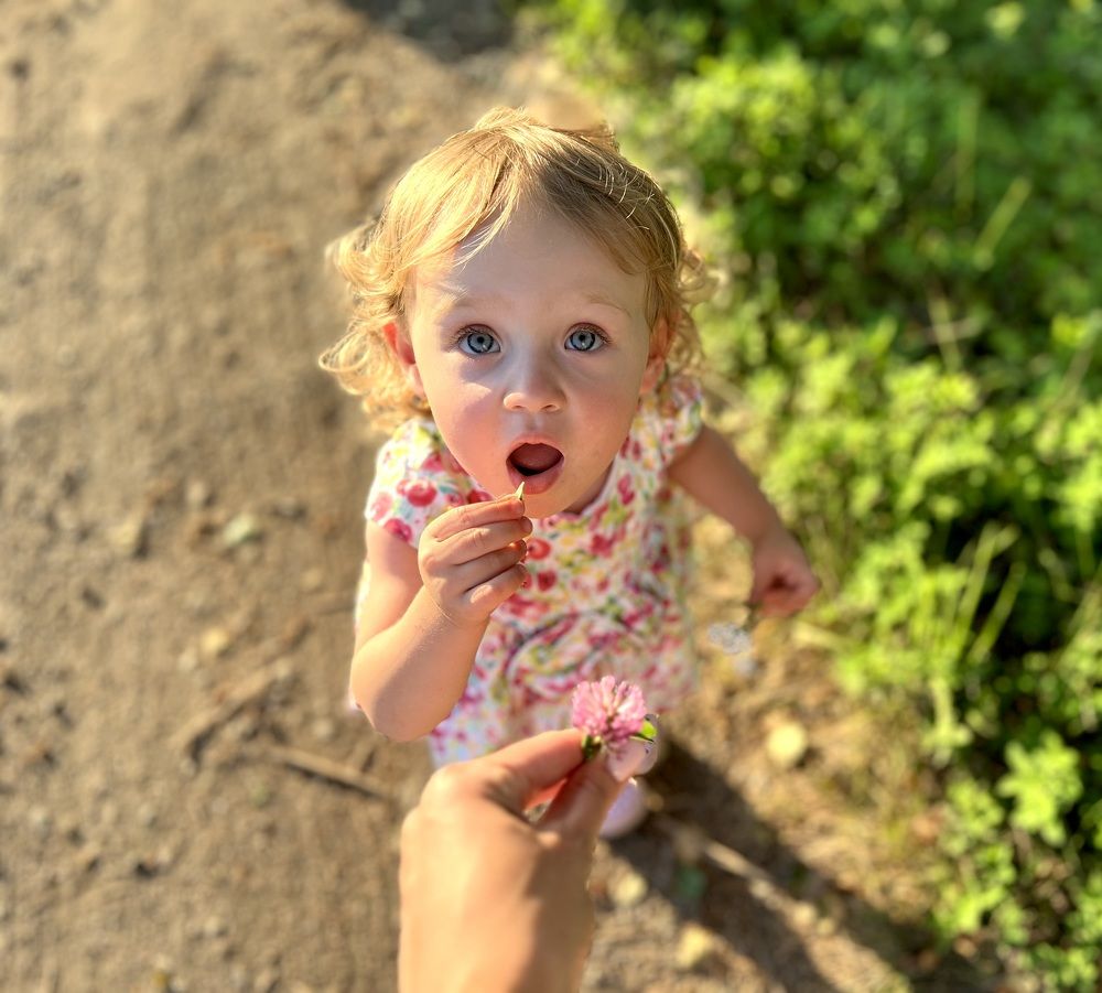 Photograph by Любовь