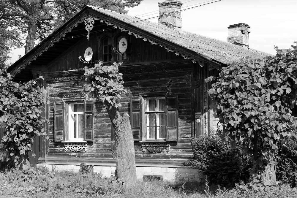 Photograph by Mikhail Novikov