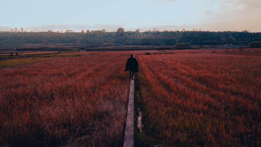 Photograph by Ali hossini