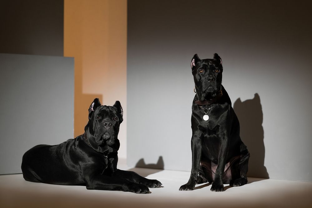 Photograph by Виктория Фоминых