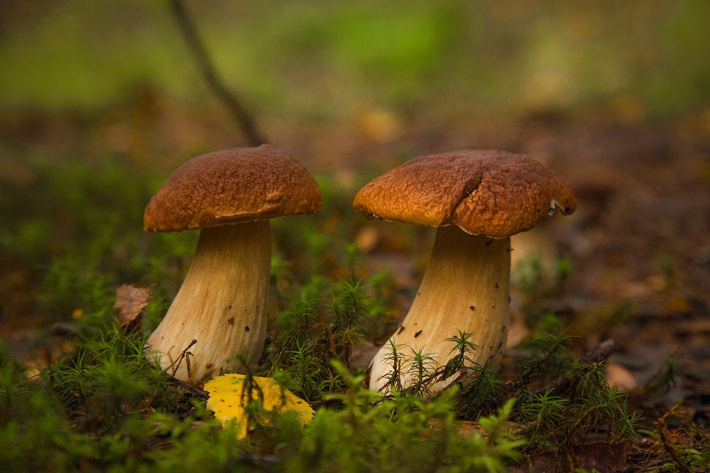 Photograph by Напалкин Станислав