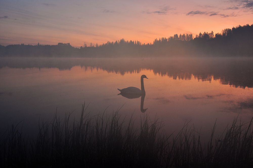 Photograph by Юрий Яковлев