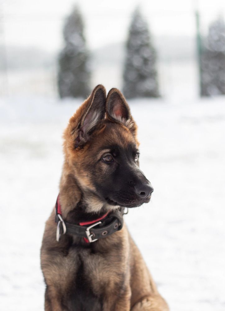 Photograph by Виктория Миюц