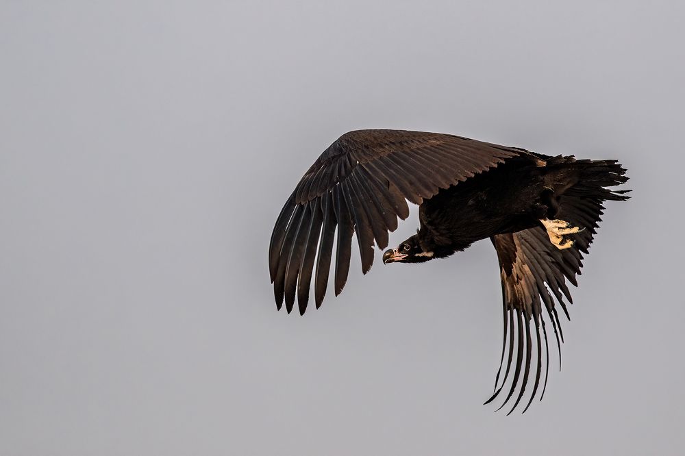 Photograph by Navjot Singh