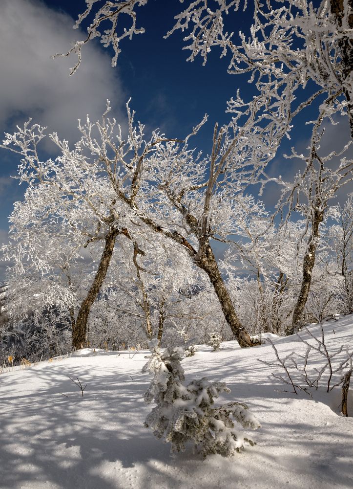 Погожий день