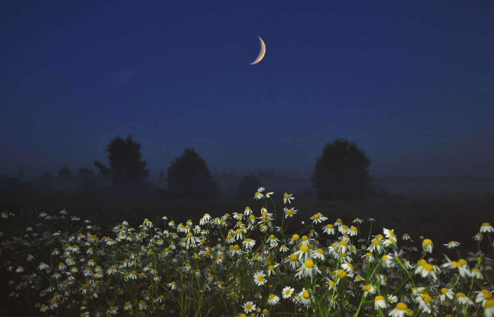 Photograph by Юрий Яковлев