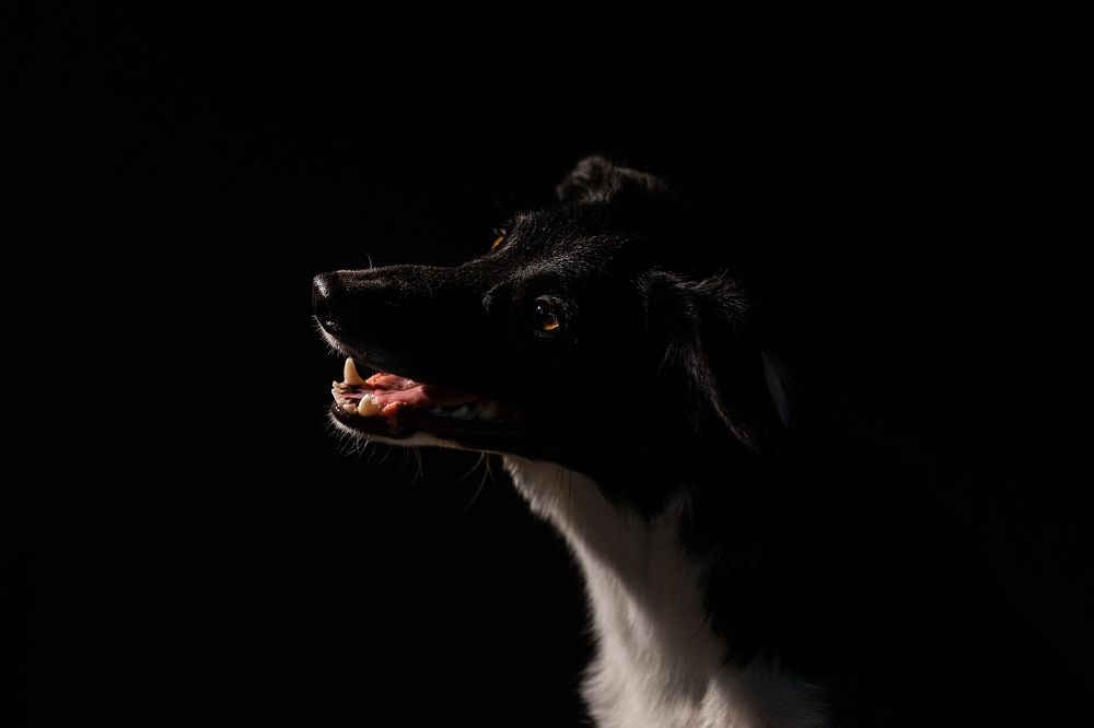 Photograph by Cветлана