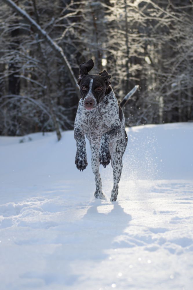 Фотография автора Ritus20018