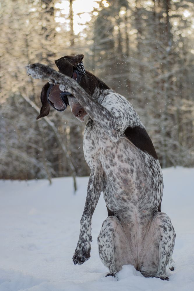 Фотография автора Ritus20018