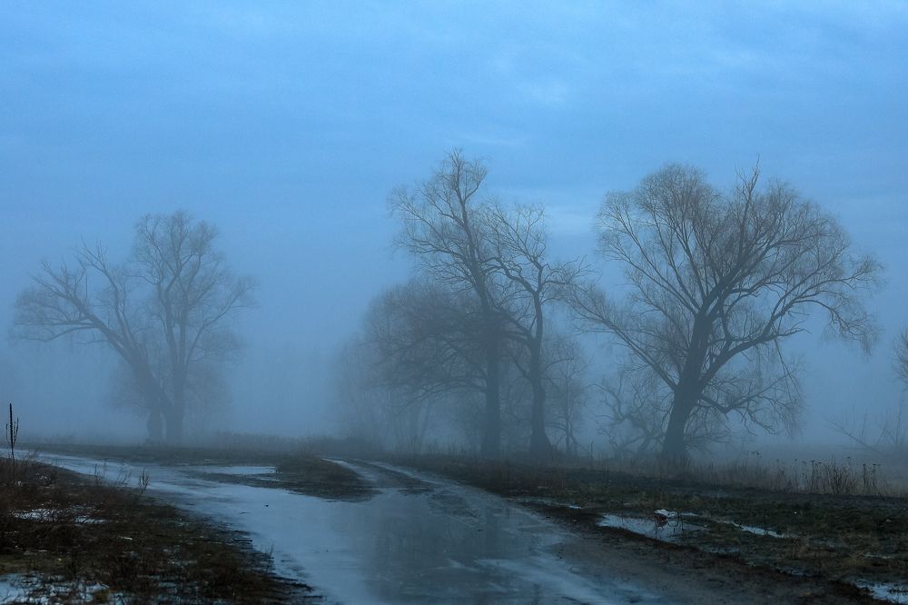 Photograph by Сергей Конюшенко