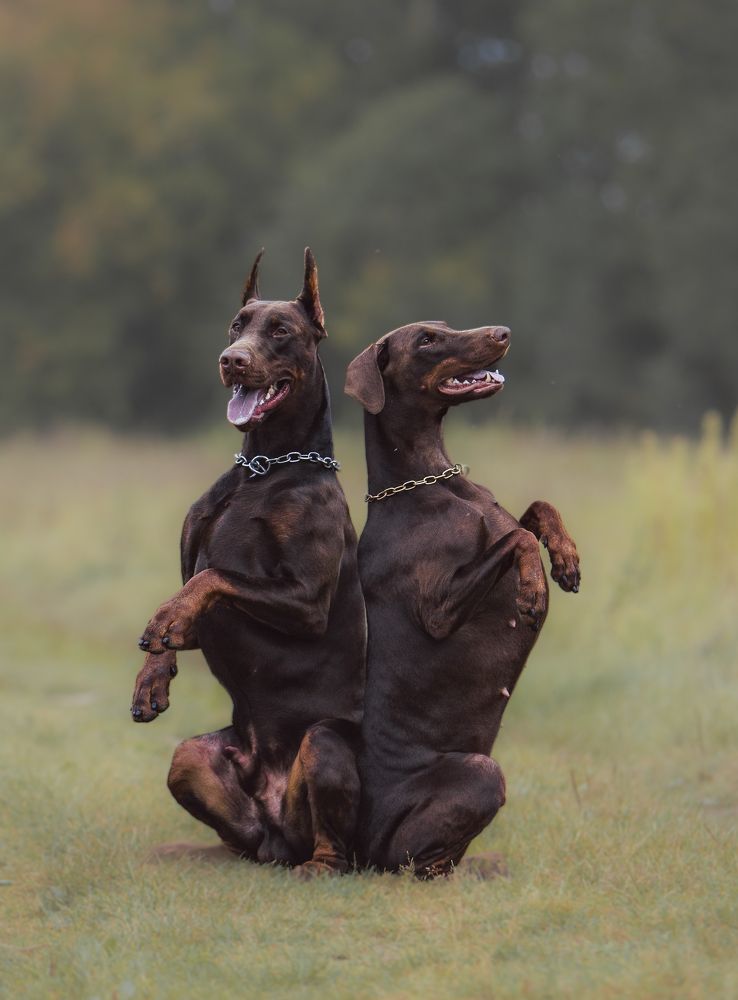 Photograph by Мария