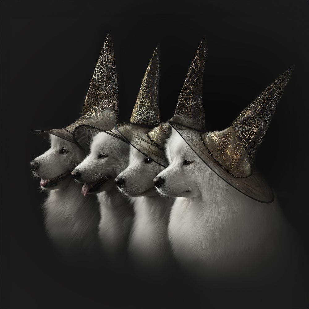 Photograph by Евгения Майорова