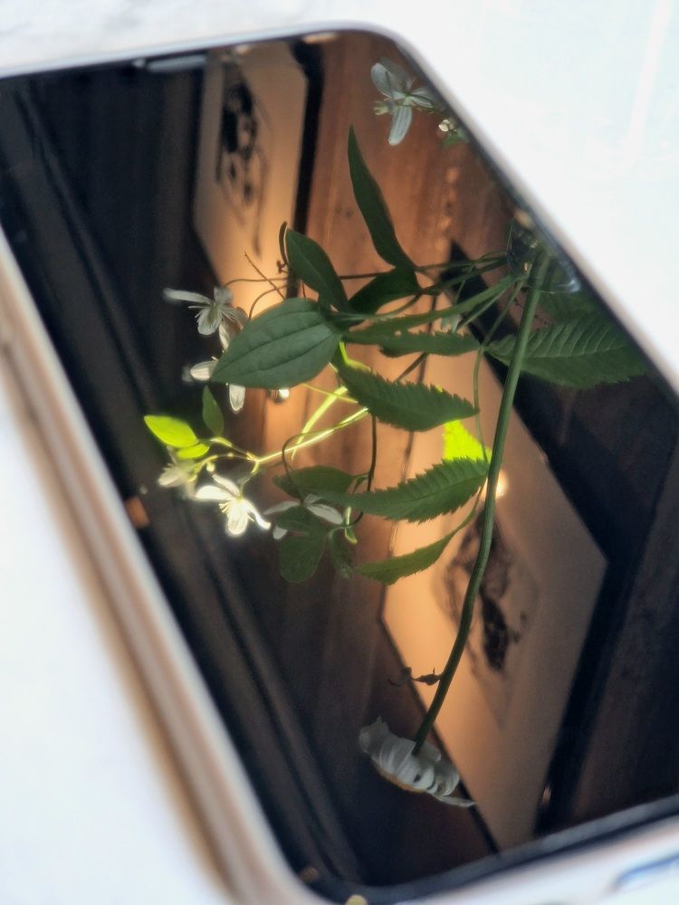 Photograph by Полина Галянина