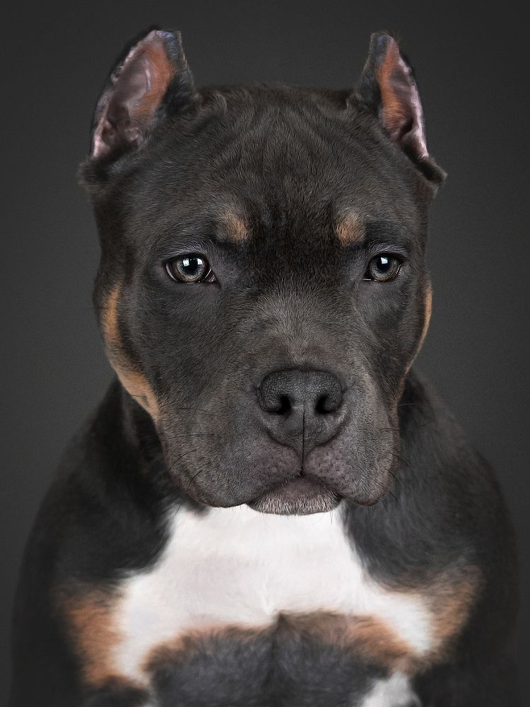 Photograph by Виктория Фоминых