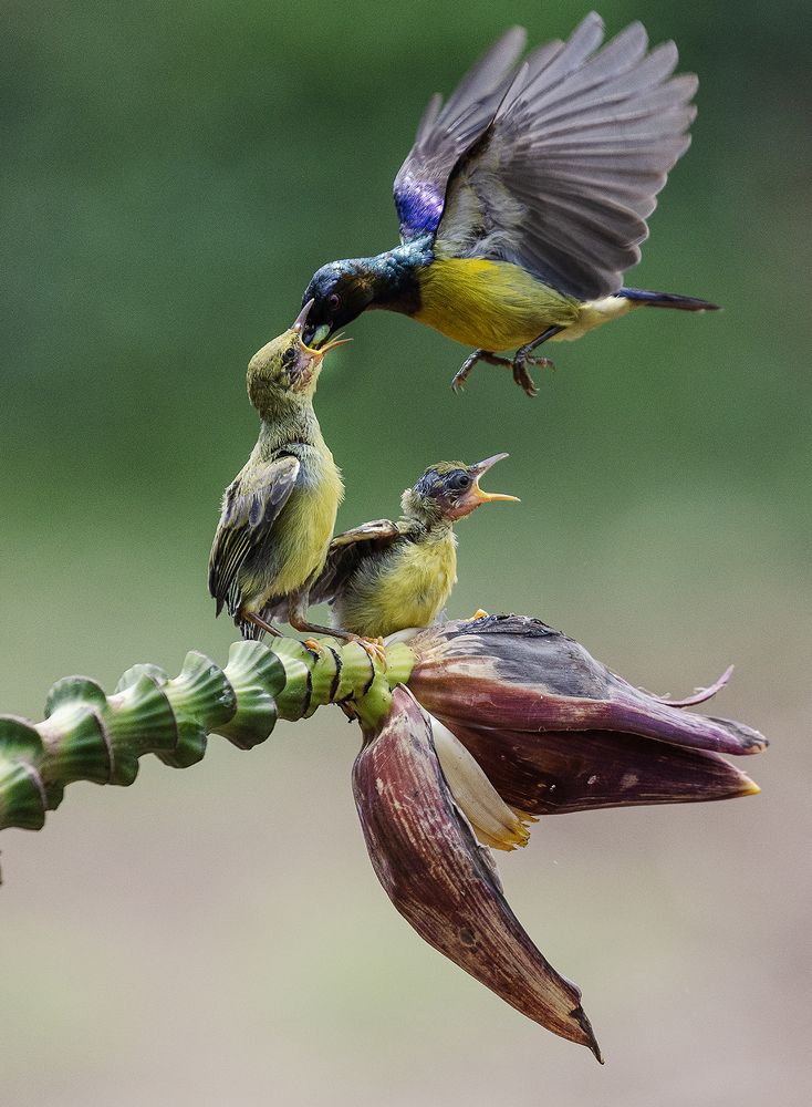 Photograph by Dikye Ariani