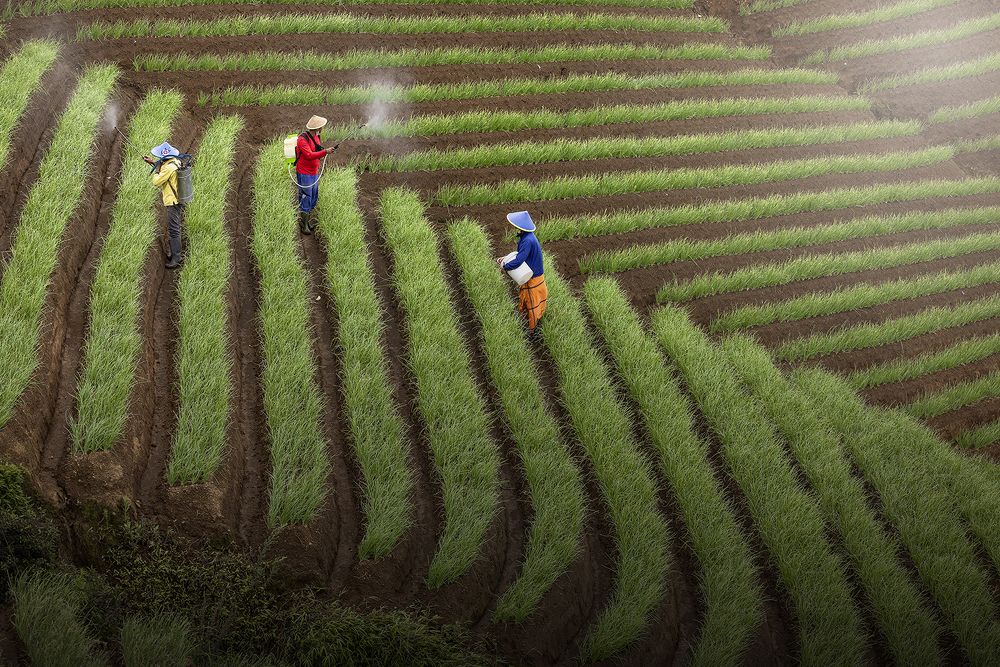 Photograph by Dikye Ariani