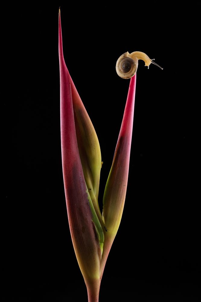 Photograph by Dikye Ariani