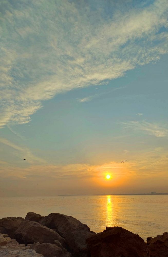 Photograph by Arnaz Framji