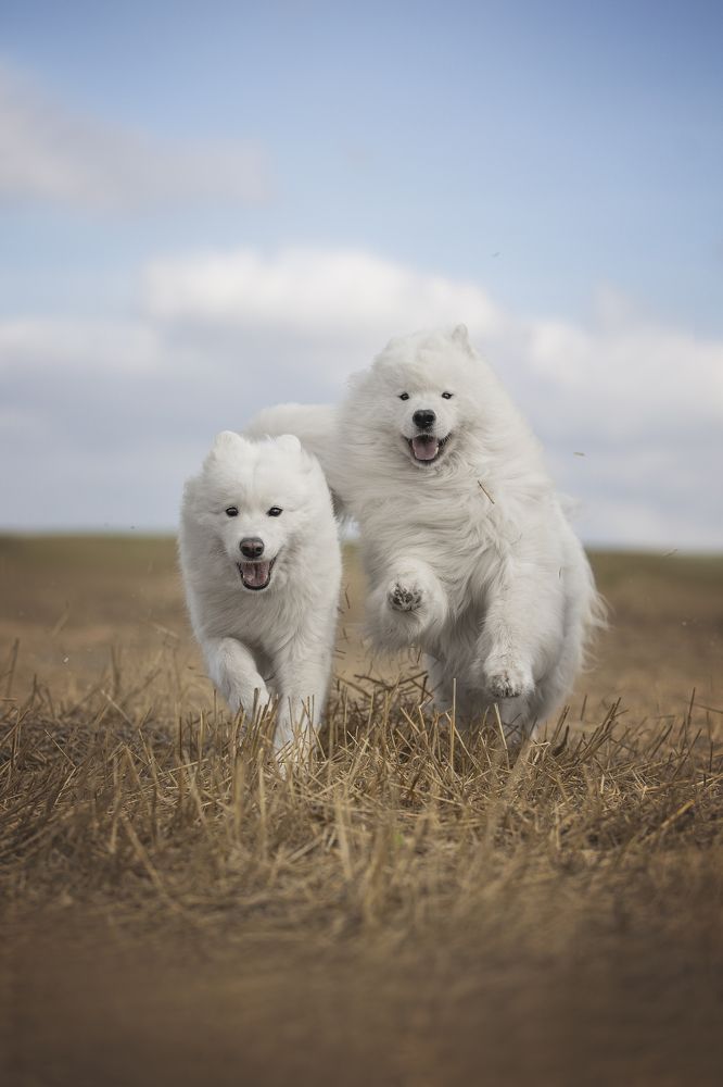 Photograph by Евгения Майорова