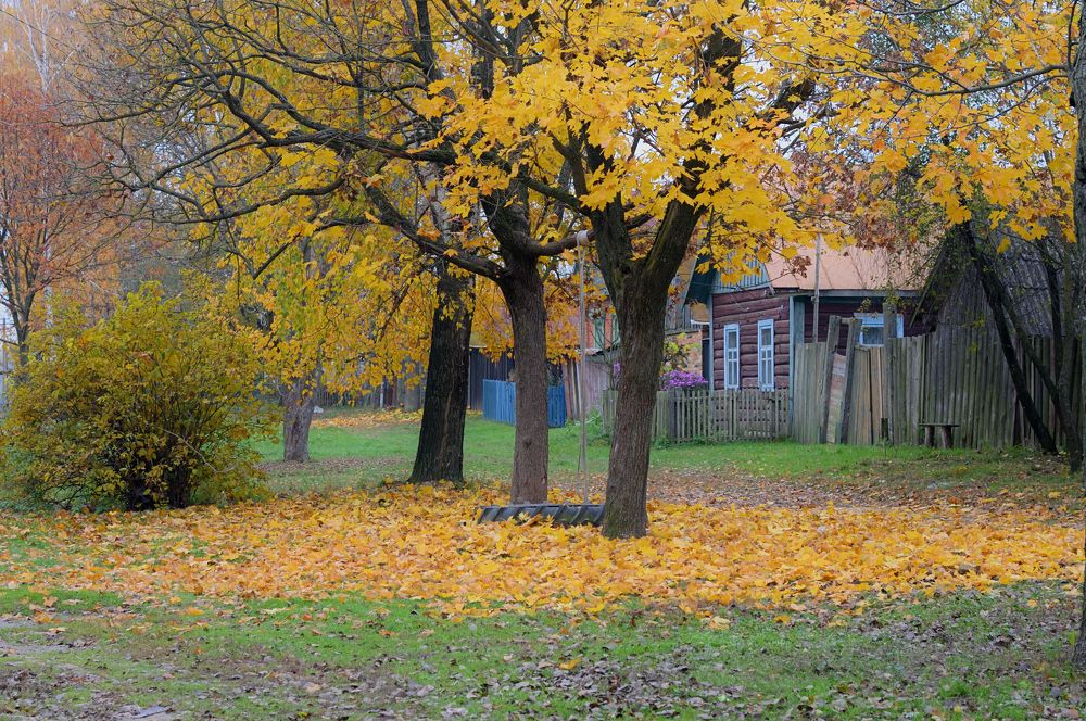 Photograph by Дмитрий Жуков