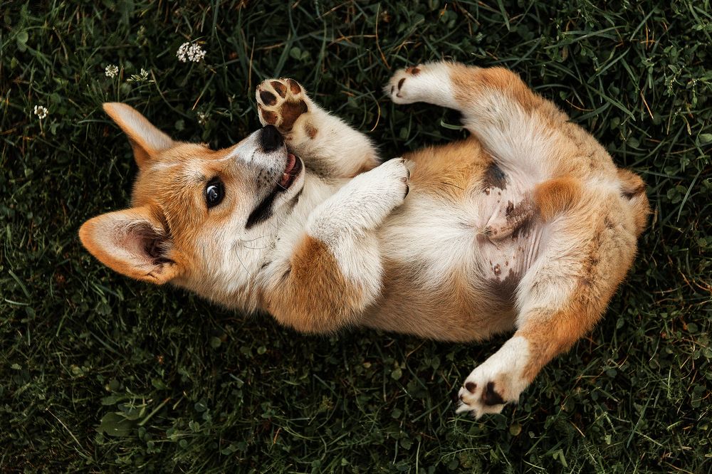 Photograph by Cветлана