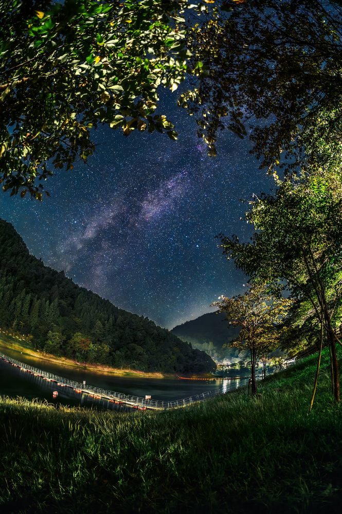 Фотография автора Aliace uesan