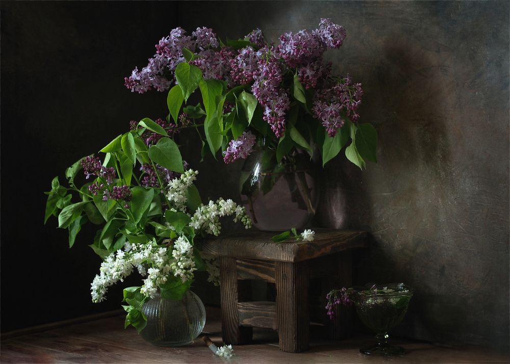 Фотография автора Svetlana Inyusheva