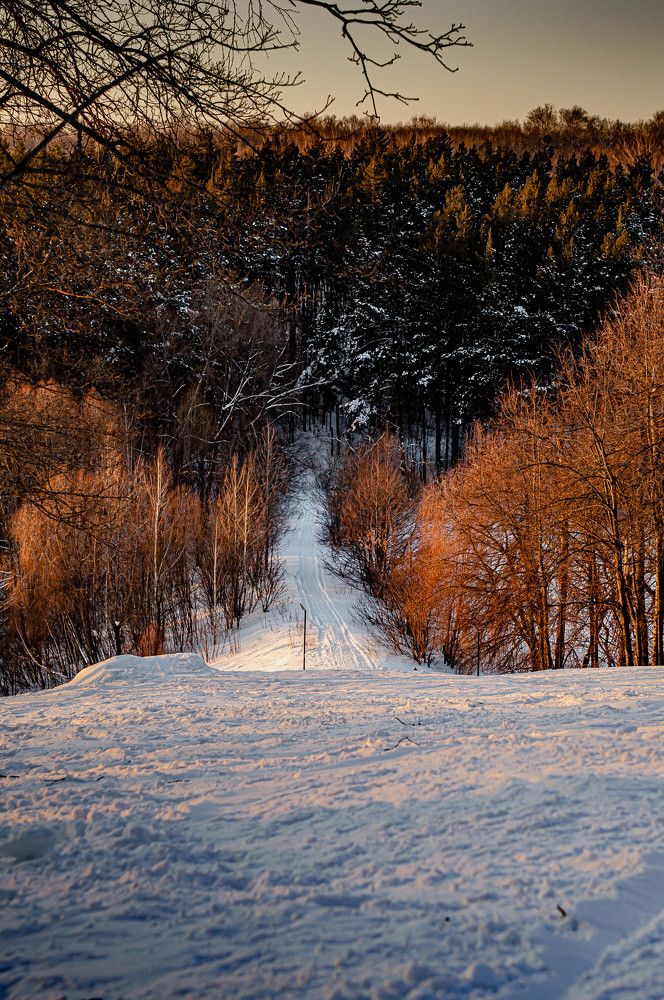 Photograph by Ангелина Ларина