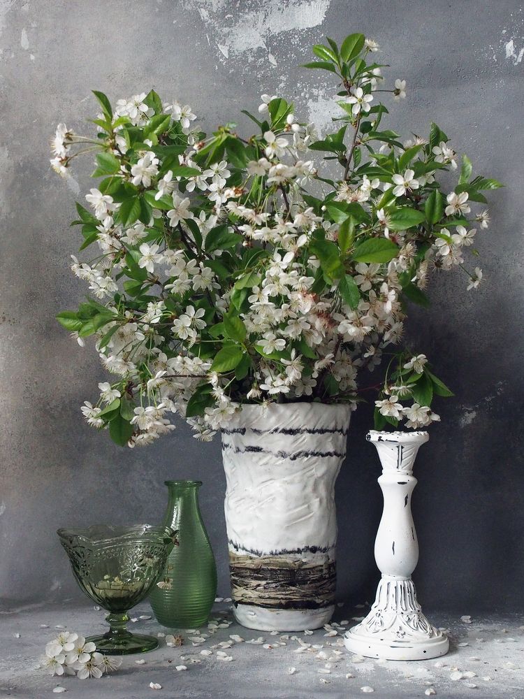 Фотография автора Svetlana Inyusheva