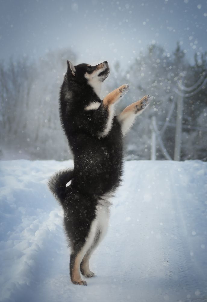 Фотография автора Ritus20018