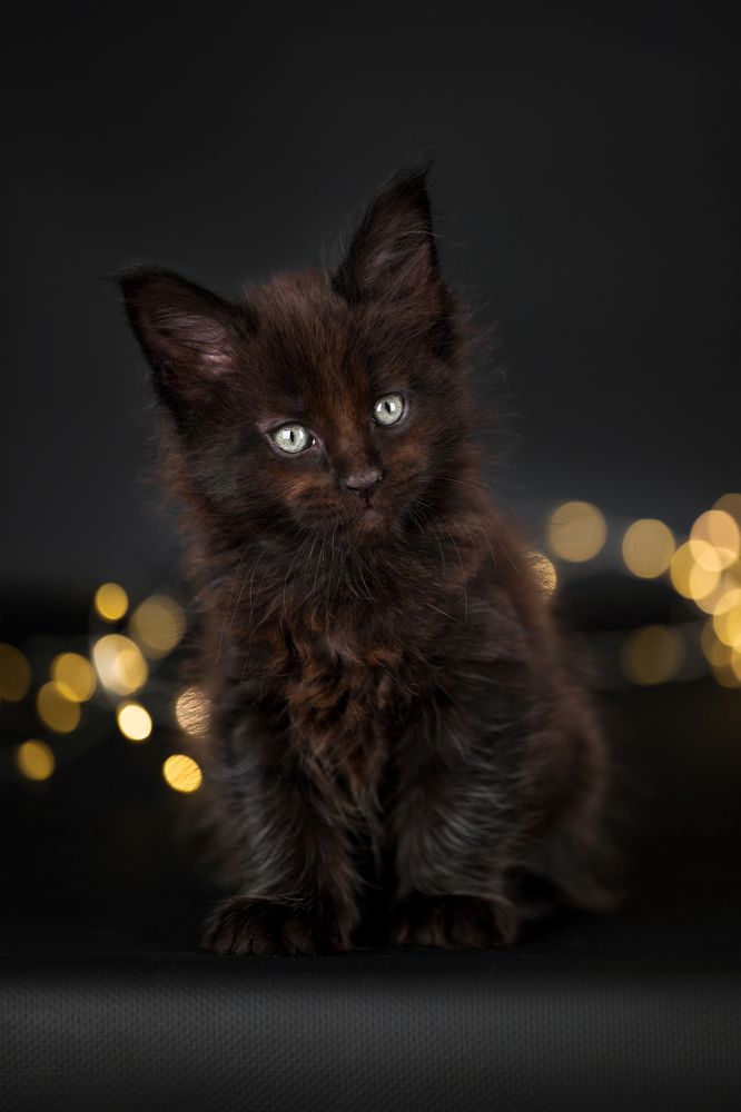 Photograph by Виктория Фоминых