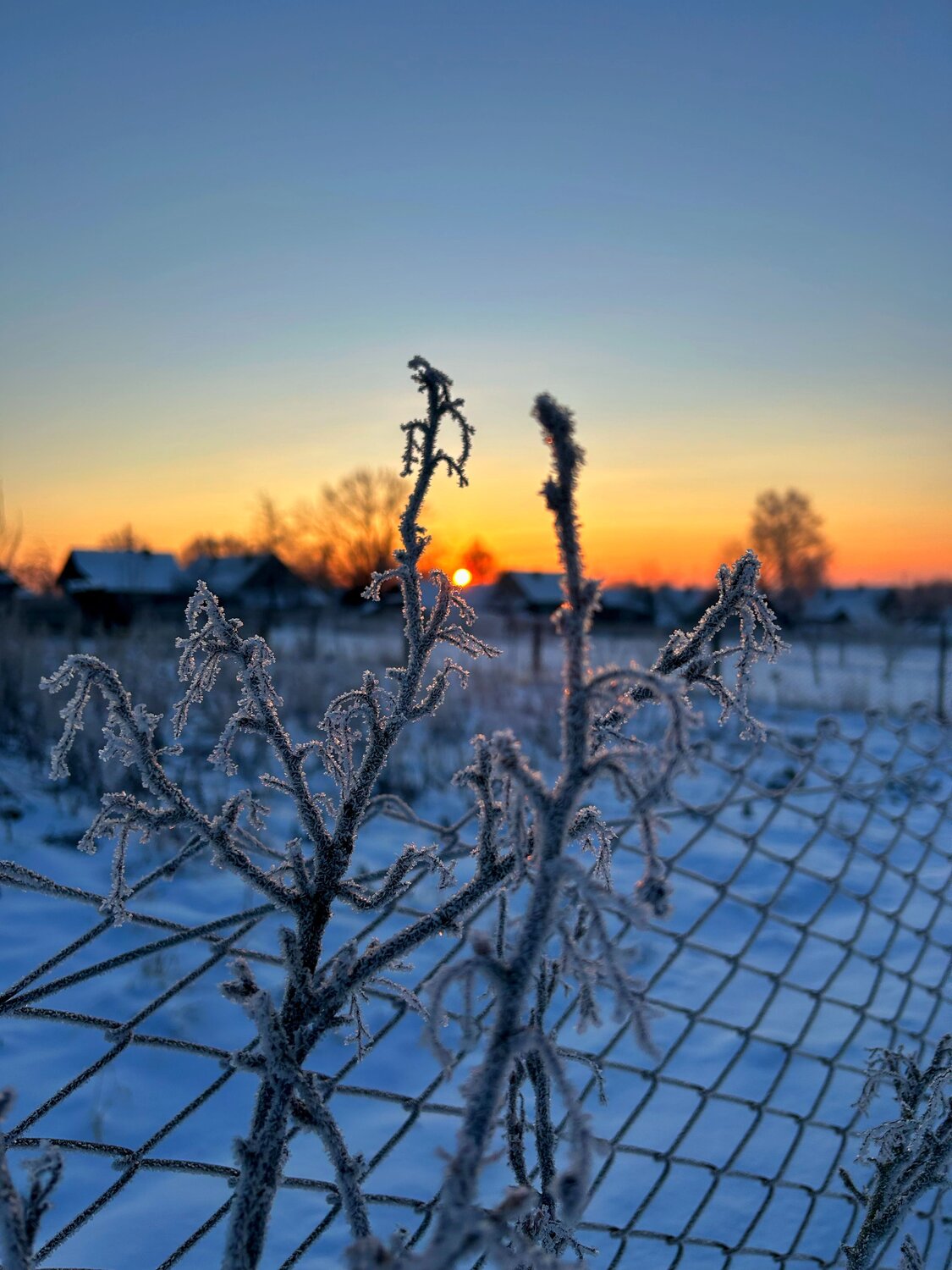 Photo #10312444