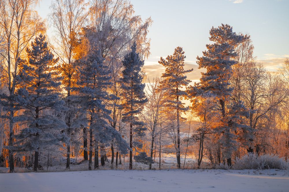 Фотография автора Инга Иванова