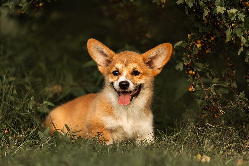 Photograph by Cветлана