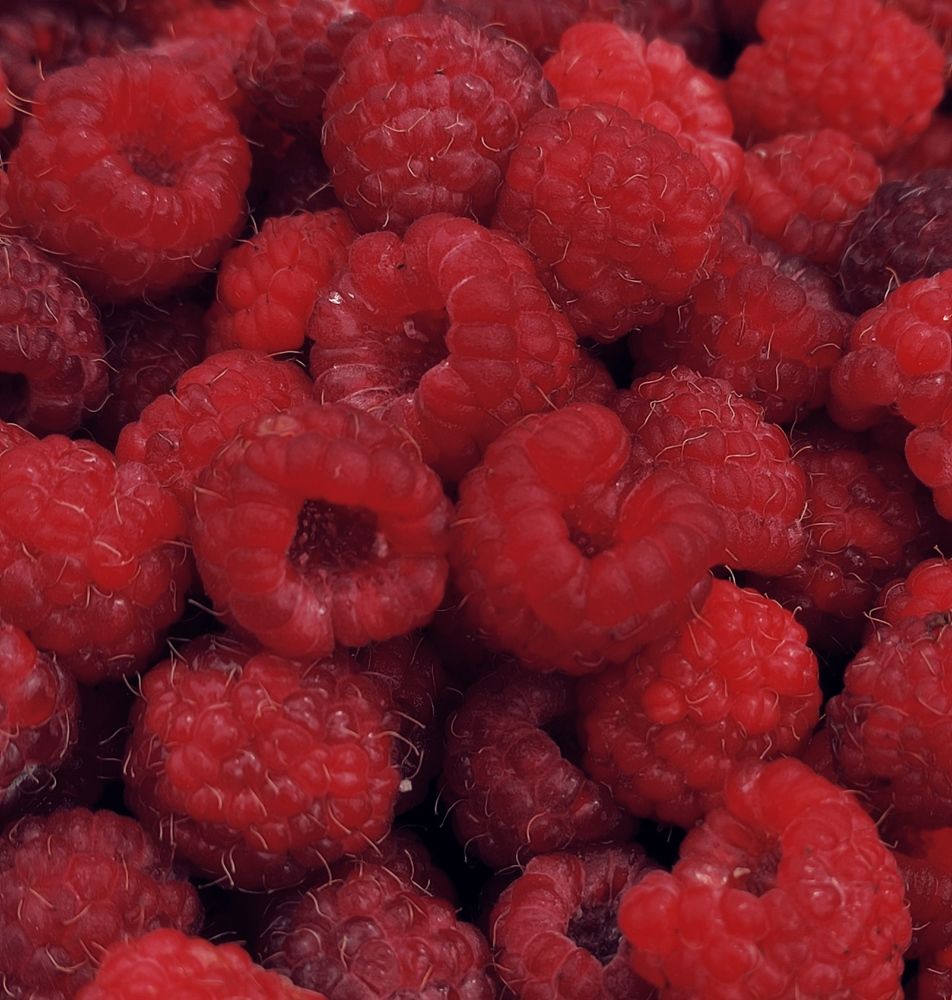 Фотография автора Васильева Ирина